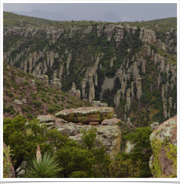 Vista from Chirachaua National Monument